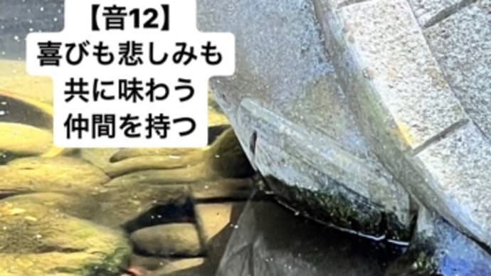〜マヤ暦　K 117 赤い地球・赤い蛇・音13〜　　今夜もやっぱり「赤い蛇」さん