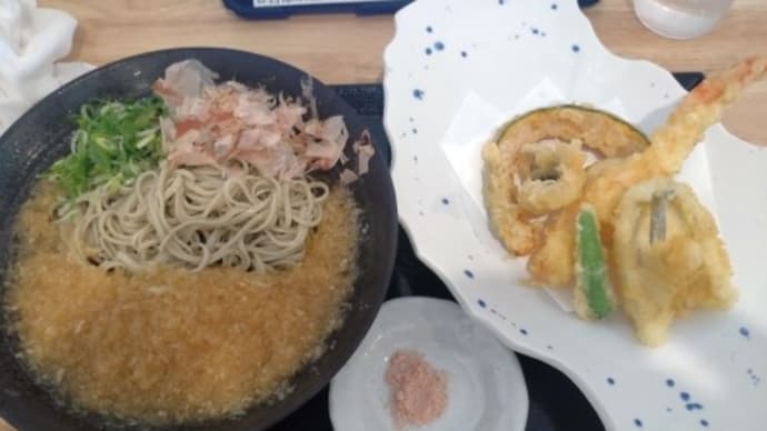 伊根の舟屋が見えるか