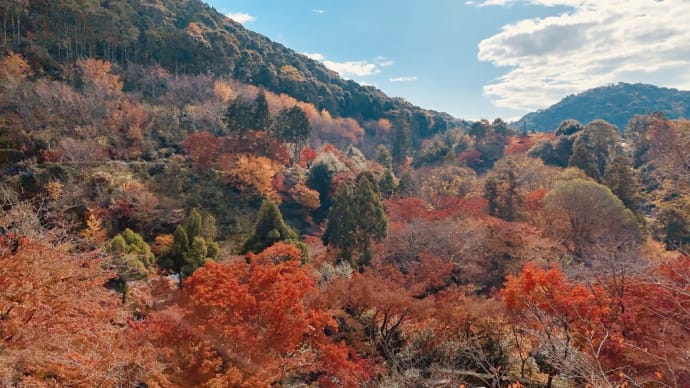 家族旅行 in 京都、奈良