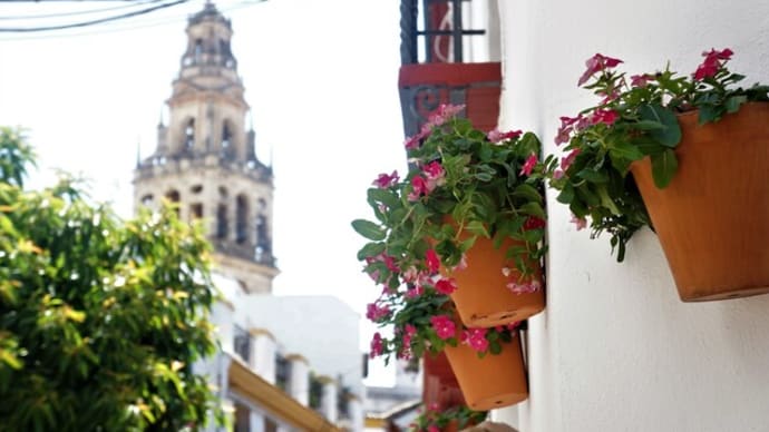 楽しすぎたスペインの旅 旅の振り返り①