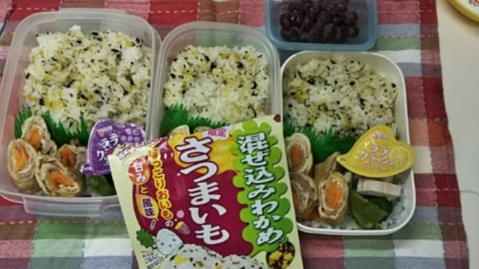 3人分お弁当
