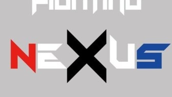 ８．１１、Fighting NEXUS vol.14 動画