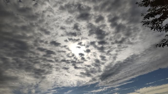 感じるだけの世界