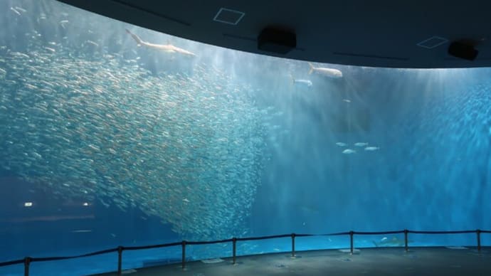 名古屋港水族館