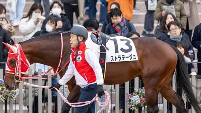 【ストラテージュ】ダート短距離ならどこでも行くぞ!