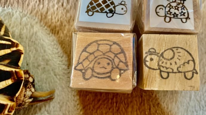 2023カメDEshow🐢消しゴムハンコお買い物*\(^o^)/*