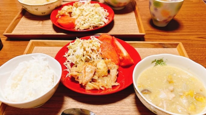 晩御飯(5日分)とお弁当