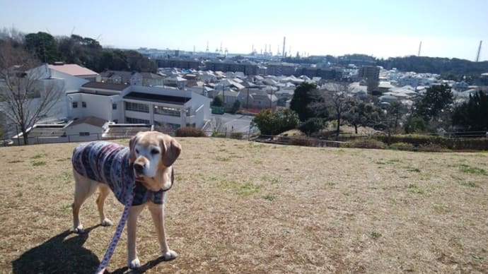 最近の一コマ