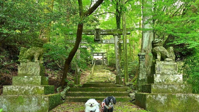 ジブリの世界観たっぷりな仁井田神社へ