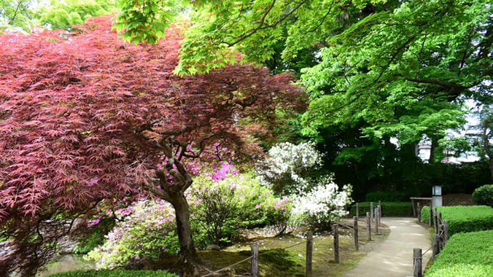 新緑と彩りの日本庭園。