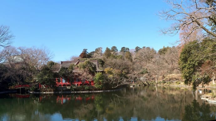 2月の吉祥寺・井の頭公園