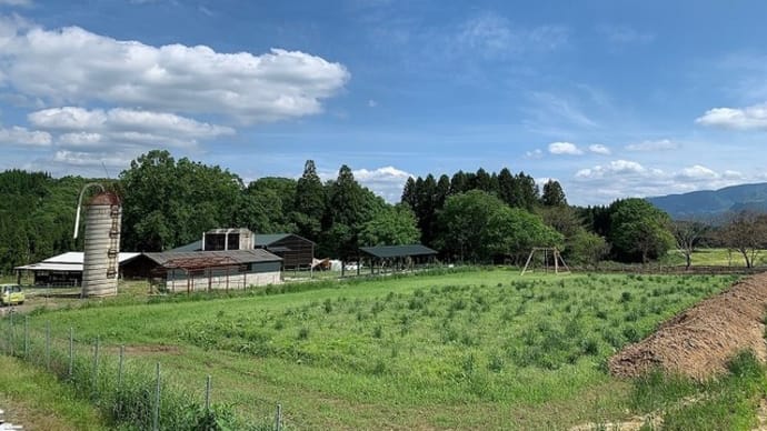 キャンプ場開拓への道 (/・ω・)/ 19