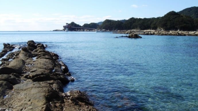 竜串湾の海の色