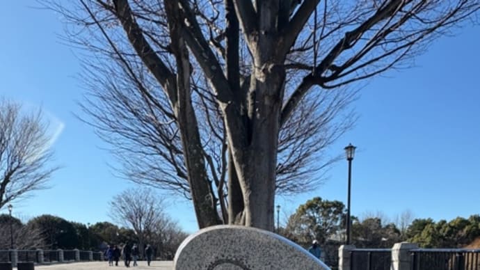 葛西臨海公園