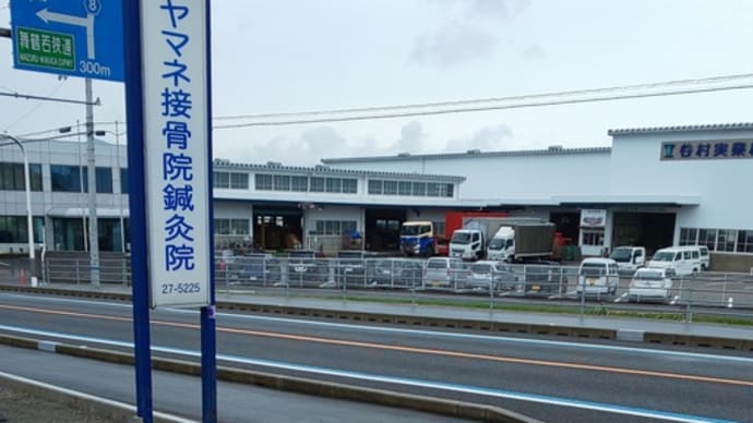 代表『顔』
