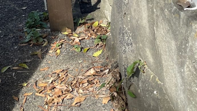 これからが始まり。