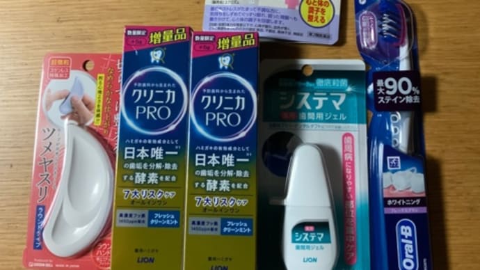 甘いもの断ち。ブックカメラ&ライオン