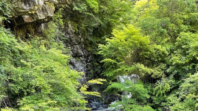 仙人の釣りとは【九州脊梁山地ヤマメ幻釣譚<25ー11>】
