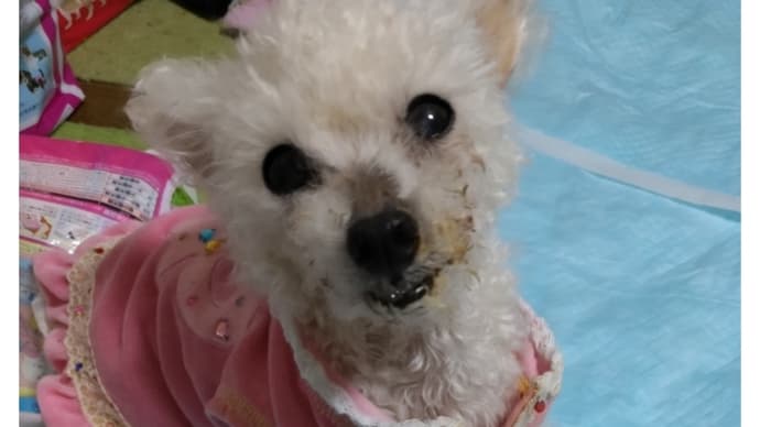 今日は、休み