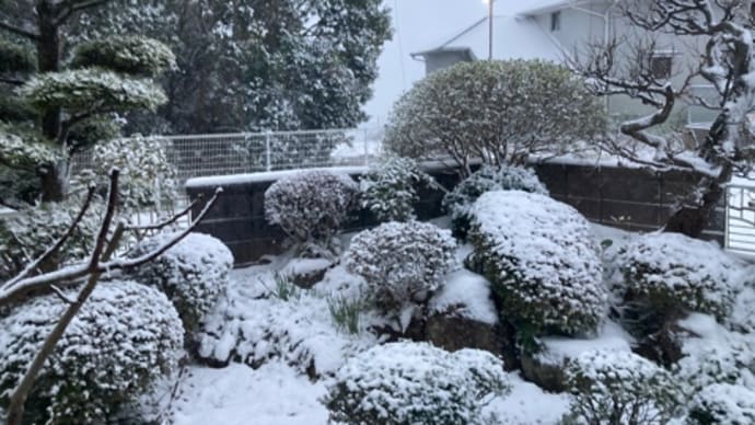 FM放送のお知らせ