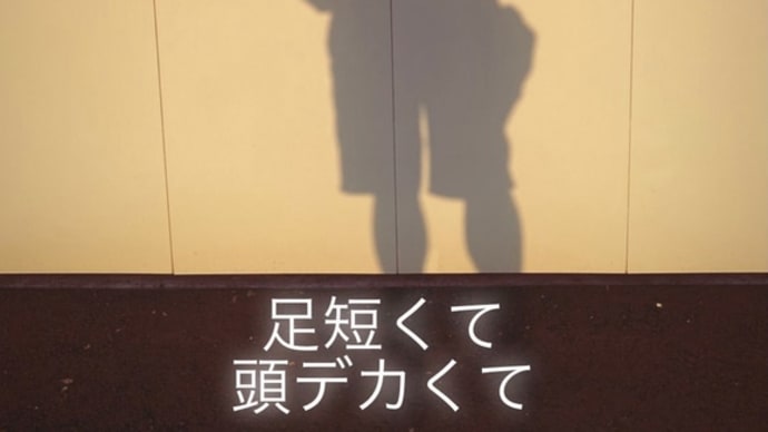 はみちん