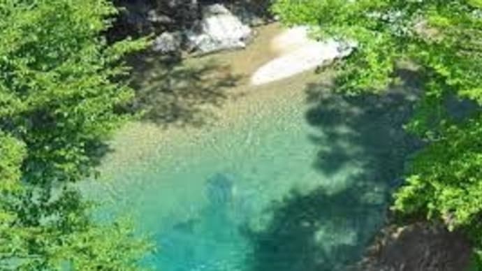 平林悠の気になるブログ