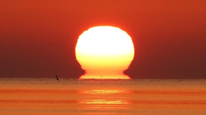 達磨太陽(朝陽) 2024年だるま朝日5号 4月28日