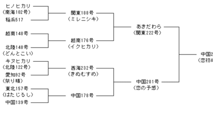 < お米 > お米の品種・銘柄 恋初めし