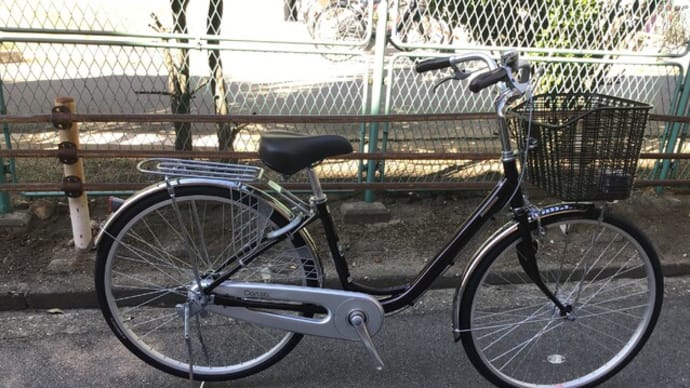 軽くて乗りやすい「カルーサ」はやっぱり人気です・・・