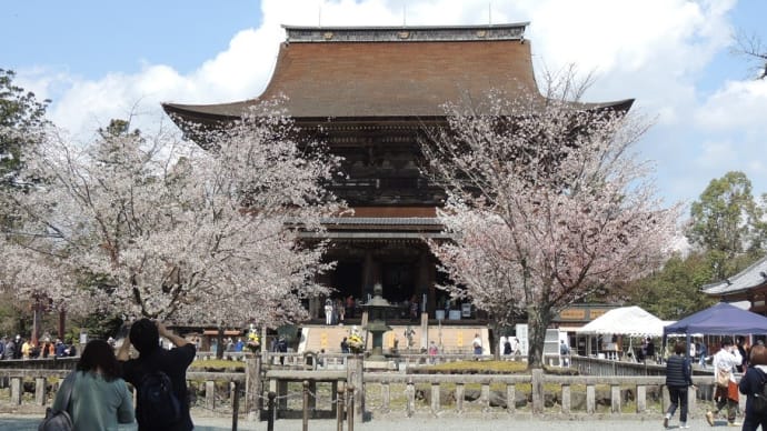 2020年4月4日の吉野の桜