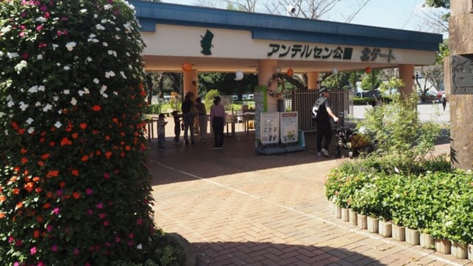 花散歩・秋晴れ