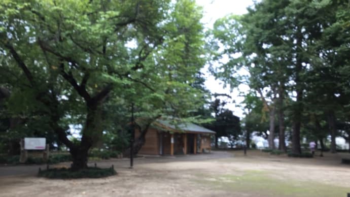 今日の散歩道　袋町公園