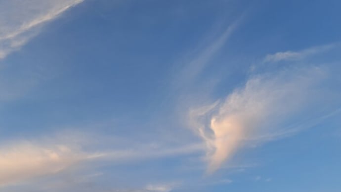 今日の空