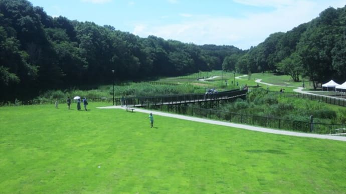 ぶら散歩~遠藤笹窪谷公園
