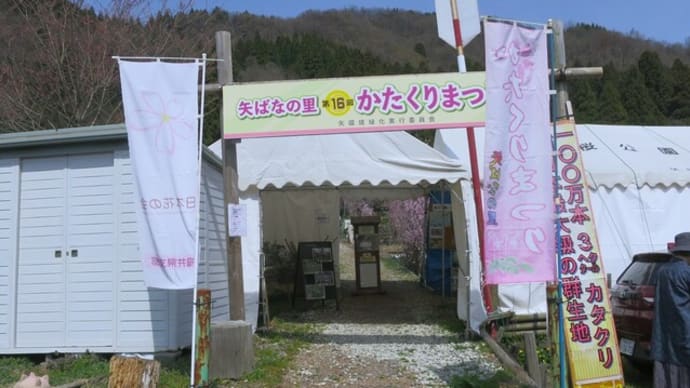 ふるさと探訪~大野矢ばなの里・カタクリ群生地