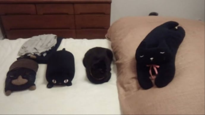 黒猫タイム 本物は?