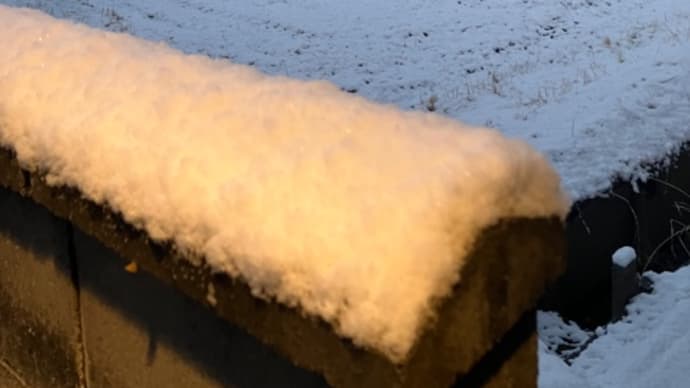 積もりました⛄️