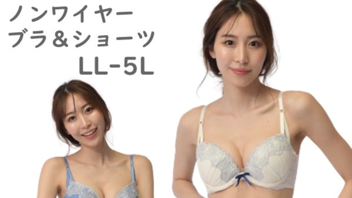大きいサイズ ブラセット ノンワイヤー ブラジャー&ショーツセット 脇高 花柄レース LL 3L 4L 5L