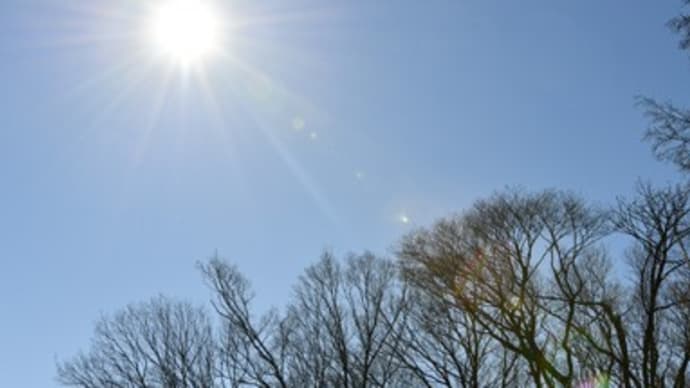 2021年1月30日 1月最後の森歩き