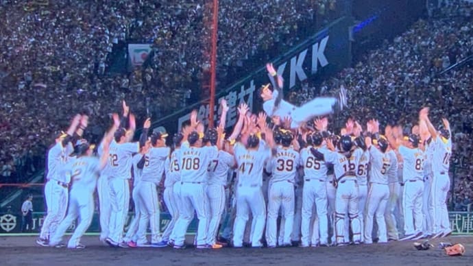 究極のにわかファン、阪神優勝おめでとう!