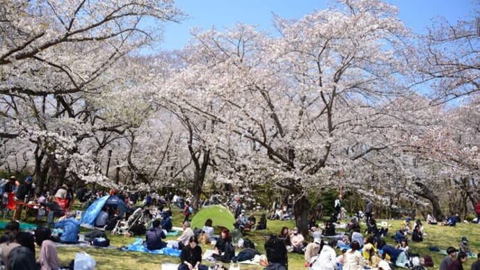 花見