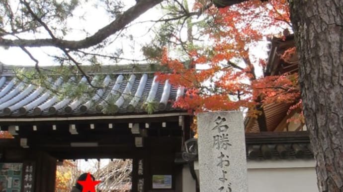 京都～妙心寺～退蔵院