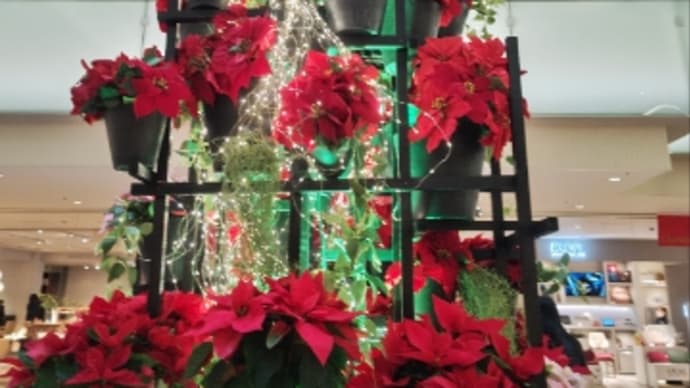 Merry Christmas から忙しくなる日本