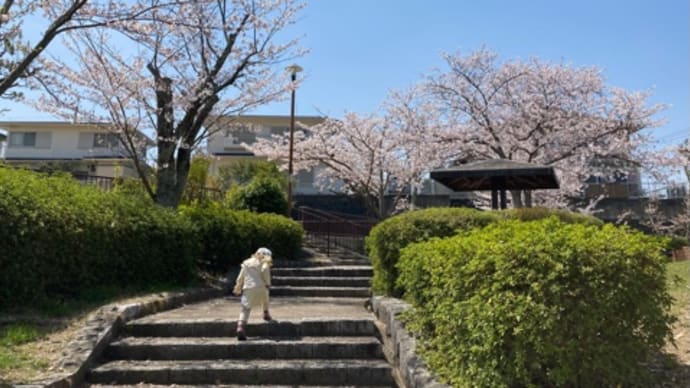4月１日卯月のはじまり〜はじまり〜(^○^)