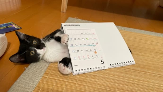193日目、懐かしい〜