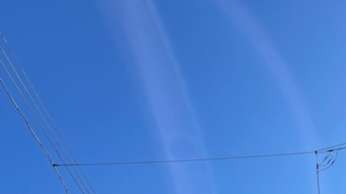 秋らしい