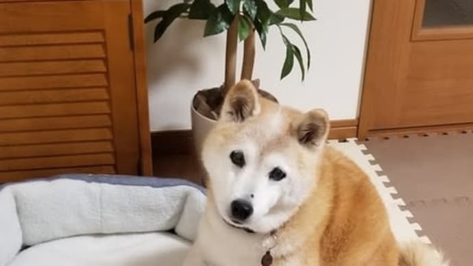 体力つけなきゃ❗