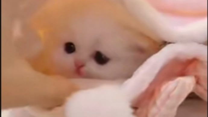 さてと