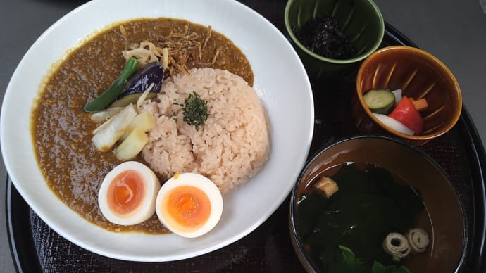 本日のランチ