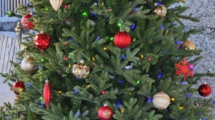 クリスマスツリーを片付けるころまで・・・